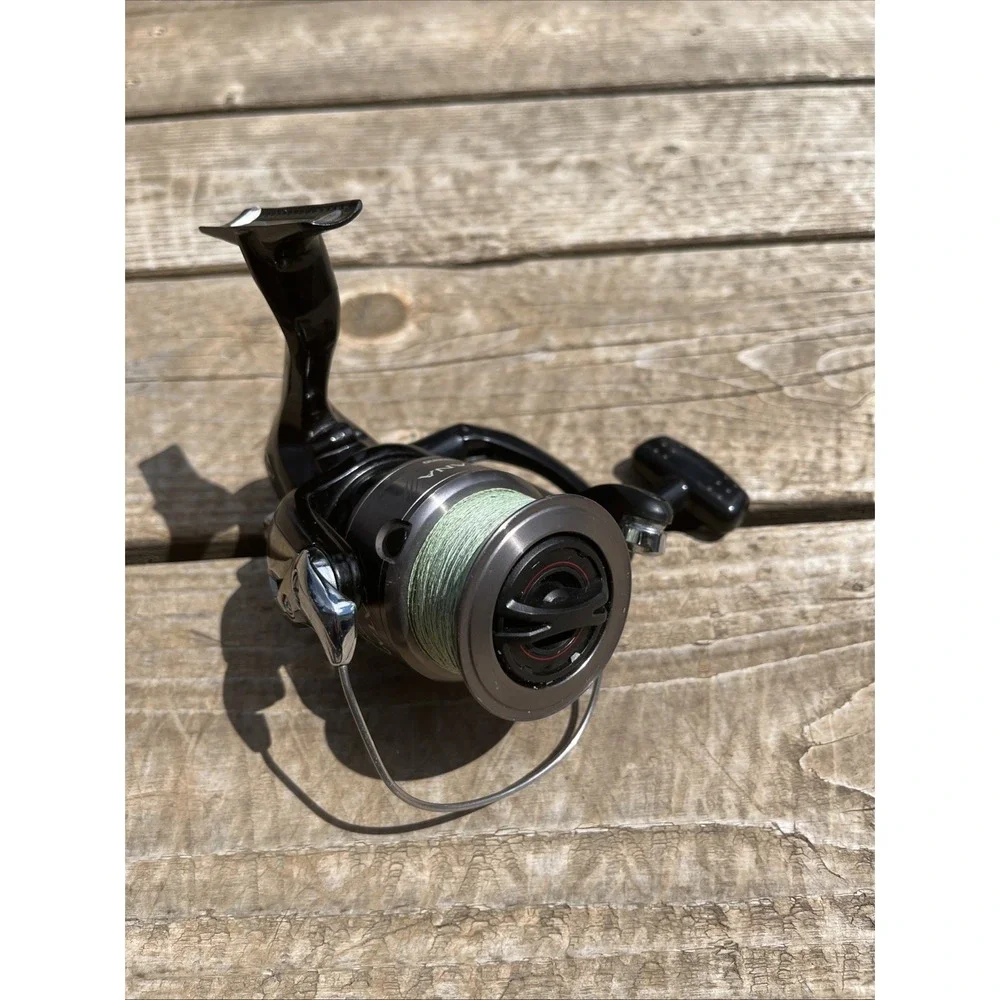 Shimano CATANA FE CLAM Spinning Reel CAT4000HG Fishing